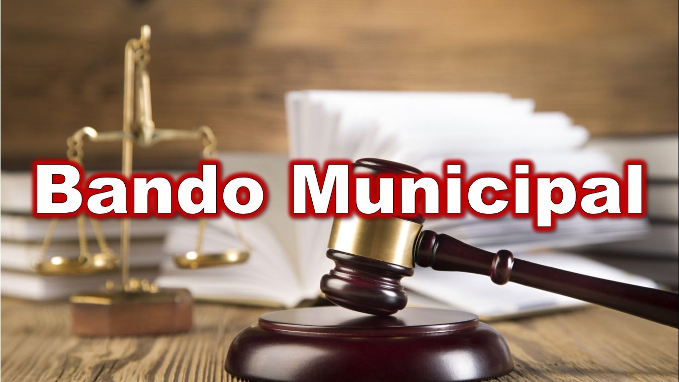 Bando Municipal